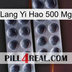 Lang Yi Hao 500 Mg 31